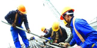 CEO Nhật Bản: “Việt Nam người trẻ lại coi thường lao động chân tay”