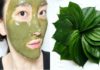 Mẹo hay Tác dụng trị nám, tàn nhang không ngờ của lá trầu không