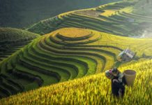 Những địa điểm “địa đidu hí” tuyệt vời trong tháng 1 Những đia điểm du hí tuyệt vời trong tháng 1