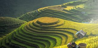 Những địa điểm “địa đidu hí” tuyệt vời trong tháng 1 Những đia điểm du hí tuyệt vời trong tháng 1