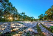 Những lý do nên du lịch Đà Lạt ít nhất một lần trong đời