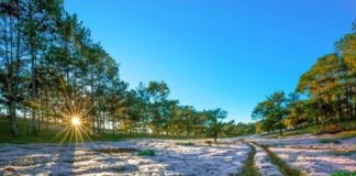 Những lý do nên du lịch Đà Lạt ít nhất một lần trong đời