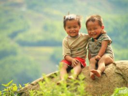 Kinh nghiệm sống: 6 điều nếu có được khiến bạn hạnh phúc hơn cả triệu người