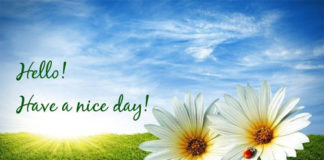 Bài học ý nghĩa về cuộc đời qua 8 câu chuyện cực ngắn