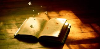 8 điều luôn cần cho cuộc sống của bạn