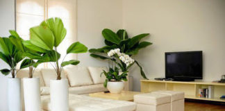 Ứng dụng phong thủy giúp cải thiện chất lượng cuộc sống