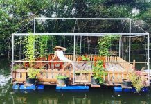 Những địa điểm du lịch chỉ dưới 1 triệu đồng ở Sài Gòn.