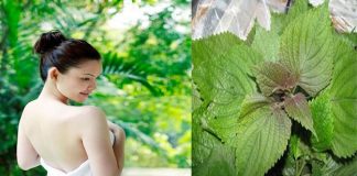 Bí quyết hay cho làn da sáng mịn theo phương pháp dân gian