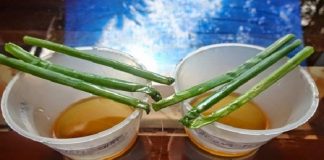 Chỉ 1 thao tác nhỏ, chị em có thể phân biệt được mật ong thật hay giả trong tích tắc