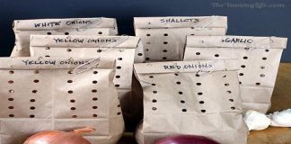 Mách chị em 7 mẹo bảo quản rau, củ, quả tươi xanh như mới hái Mách chị em 7 mẹo bảo quản rau, củ, quả tươi xanh như mới hái