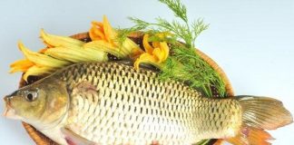 Tổng hợp các mẹo vặt giúp việc chọn lựa và chế biến các món ăn từ cá trở nên dễ dàng