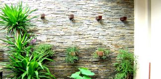 Bạn muốn chơi tiểu cảnh sân vườn? Những điều cần phải biết!