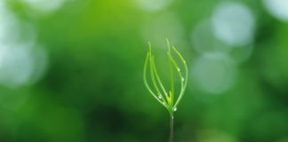 20 bí quyết để chụp hình đẹp bạn nên bỏ túi ngay từ bây giờ