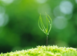 20 bí quyết để chụp hình đẹp bạn nên bỏ túi ngay từ bây giờ