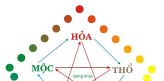 Kinh nghiệm phong thủy nhà và nơi làm việc dành cho người mới bắt đầu