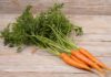 Bí quyết bảo quản cà rốt tươi ngon và đúng cách nhất