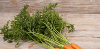 Bí quyết bảo quản cà rốt tươi ngon và đúng cách nhất