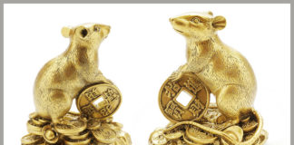 Tử vi 12 con giáp: Tử vi của người tuổi Tý tháng 12 năm 2018