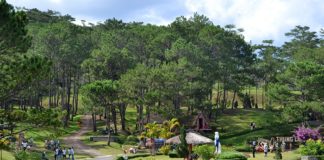 Du lịch Đà Lạt với những điểm du lịch hấp dẫn nhất Những điểm du lịch Đà Lạt nổi bật nhất