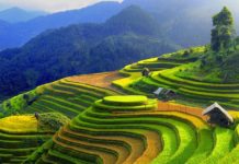 Hành trình du lịch Đông Bắc khám phá những điểm đến nổi bật nhất Những điểm du lịch Đông Bắc nổi bật nhất