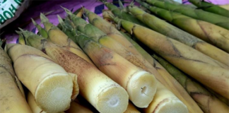 Cách khử độc măng tươi đơn giản và dễ dàng nhất