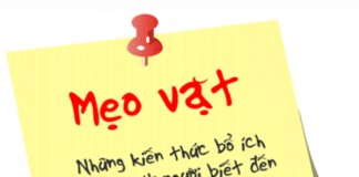 Những cẩm nang mẹo vặt gia đình dành cho phụ nữ