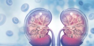 Chăm sóc sức khỏe: 7 thực phẩm gây hại cho thận Những thực phẩm gây hại cho thận