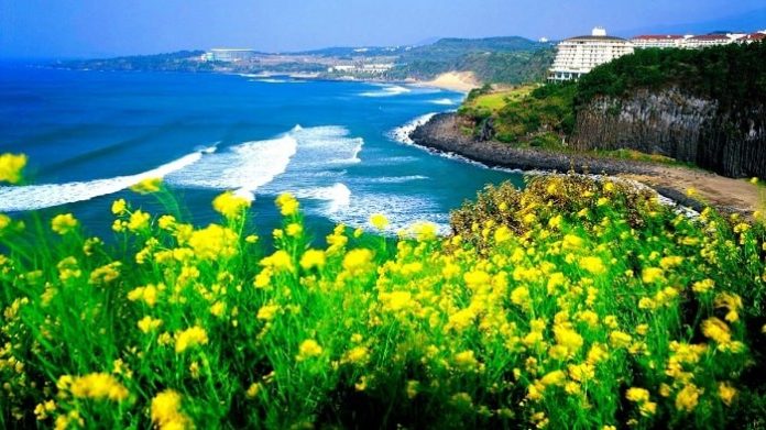 Du lịch đảo Jeju