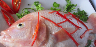 Mẹo vặt giúp bạn mua được cá đảm bảo tươi ngon đúng chuẩn Mẹo chọn cá đảm bảo tươi ngon