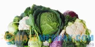 14 loại rau củ nhiều vitamin và tốt cho sức khỏe nhất 14 loại rau củ nhiều vitamin và tốt cho sức khỏe nhất