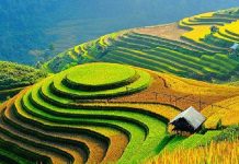 Kinh nghiệm du lịch Hà Giang tự túc mới nhất 2020 Kinh nghiệm du lịch Hà Giang mới nhất 2020