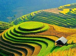 Kinh nghiệm du lịch Hà Giang mới nhất 2020