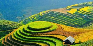 Kinh nghiệm du lịch Hà Giang tự túc mới nhất 2020 Kinh nghiệm du lịch Hà Giang mới nhất 2020