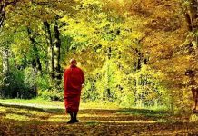 Hạnh phúc theo suy nghĩ của người tu hành Hạnh phúc theo suy nghĩ của người tu hành