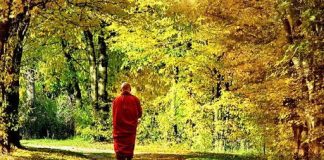 Hạnh phúc theo suy nghĩ của người tu hành Hạnh phúc theo suy nghĩ của người tu hành