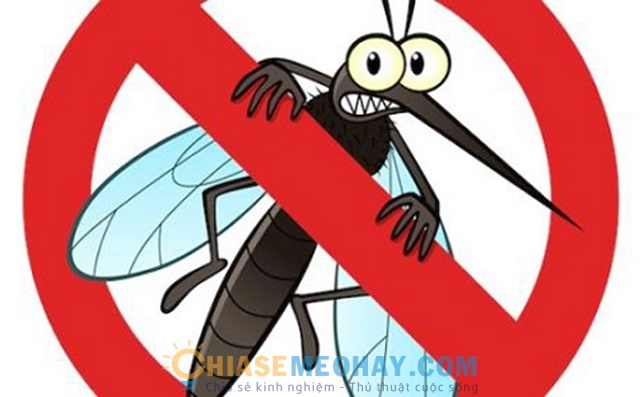 Những đặc tính độc hại của những loại muỗi đốt
