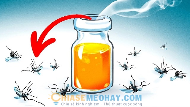 Sử dụng bẫy muỗi để tiêu diệt triệt để các côn trùng lây bệnh